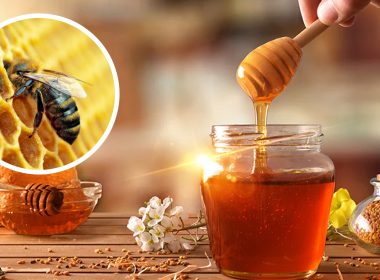 Madu tahan 3000 tahun