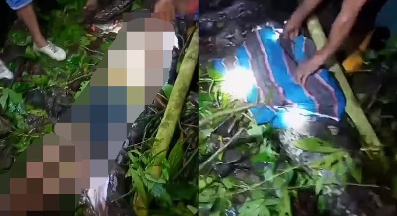 Petani maut ditelan ular sawa 23 kaki
