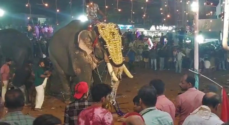 Gajah mengamuk di festival India