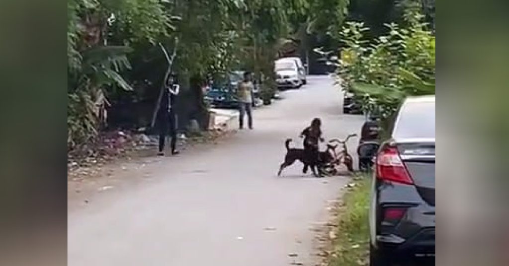 Tangkap layar video tular kanak-kanak lelaki diserang anjing.