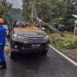 Kenderaan yang dinaiki oleh staf Bonda Rozita dihempap pokok.