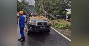 Kenderaan yang dinaiki oleh staf Bonda Rozita dihempap pokok.