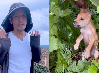 Video Aliff Syukri bantu anak anjing terbiar jadi tular.