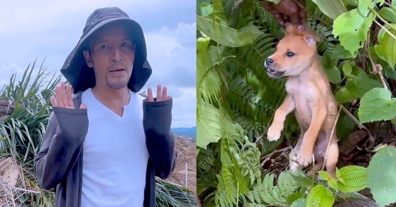 Video Aliff Syukri bantu anak anjing terbiar jadi tular.