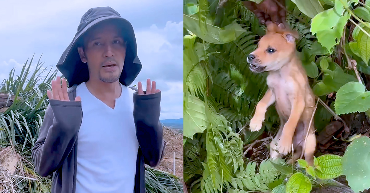 Video Aliff Syukri bantu anak anjing terbiar jadi tular.