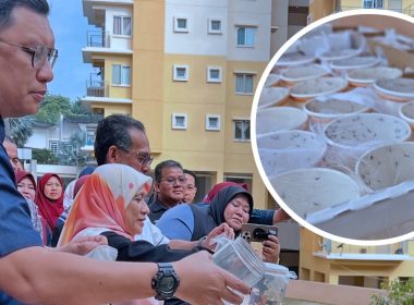 Putrajaya lepaskan 65,000 nyamuk ber-Wolbachia bantu perangi denggi.