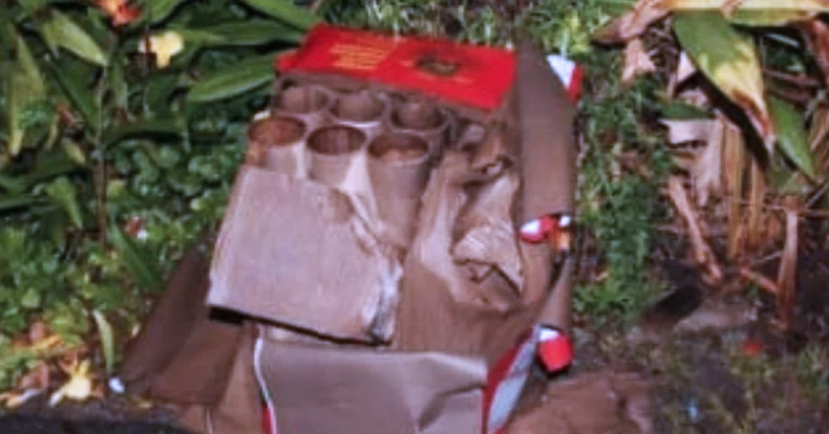 Bunga api di hadapan sebuah rumah di Taman Damai Jaya, Bukit Siput.