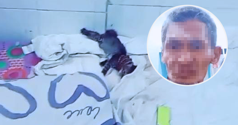 Tangkapan layar video tular keadaan kucing.