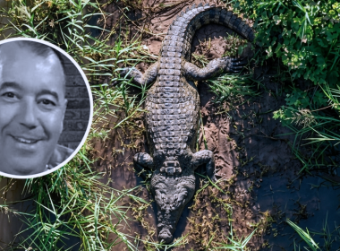 Buaya yang dikenalpasti membaham pemilik hotel.
