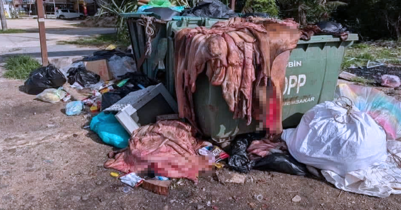 Kulit haiwan dipercayai lembu korban dibuang ke dalam tong sampah sehingga mencetuskan kritikan mengenai aspek kebersihan selepas ibadah korban.
