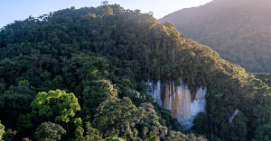 Kawasan pendakian Gunung Batu Putih di Tapah.