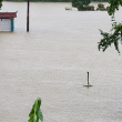 Ular terlepas selepas ladang pembiakan musnah akibat banjir di Guangxi China