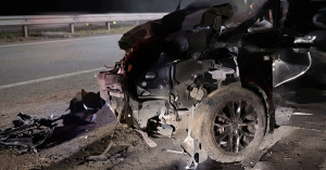 Rakaman papan pemuka menunjukkan sekumpulan gajah melintas di LPT2 sebelum MPV terbabit kemalangan berhampiran Exit Cheneh, Kemaman.