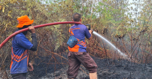 Malaysia tawar bantuan kepada Indonesia bagi menangani kebakaran hutan dan tanah