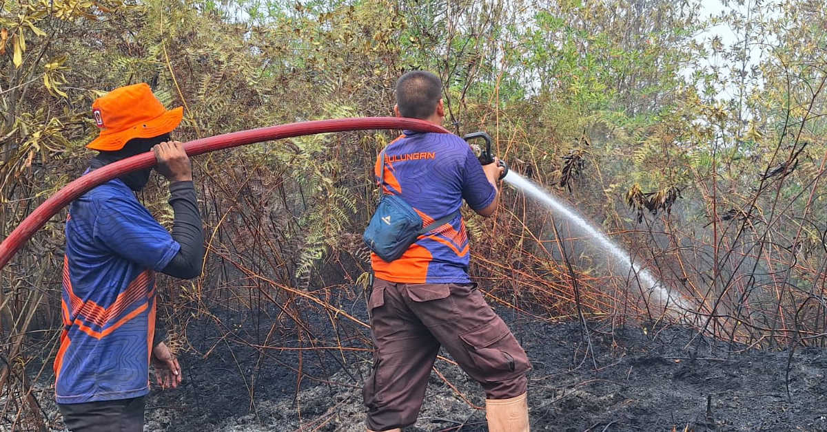Malaysia tawar bantuan kepada Indonesia bagi menangani kebakaran hutan dan tanah