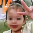 Keluarga Haira nafi pemilikan anjing yang menyerang mangsa