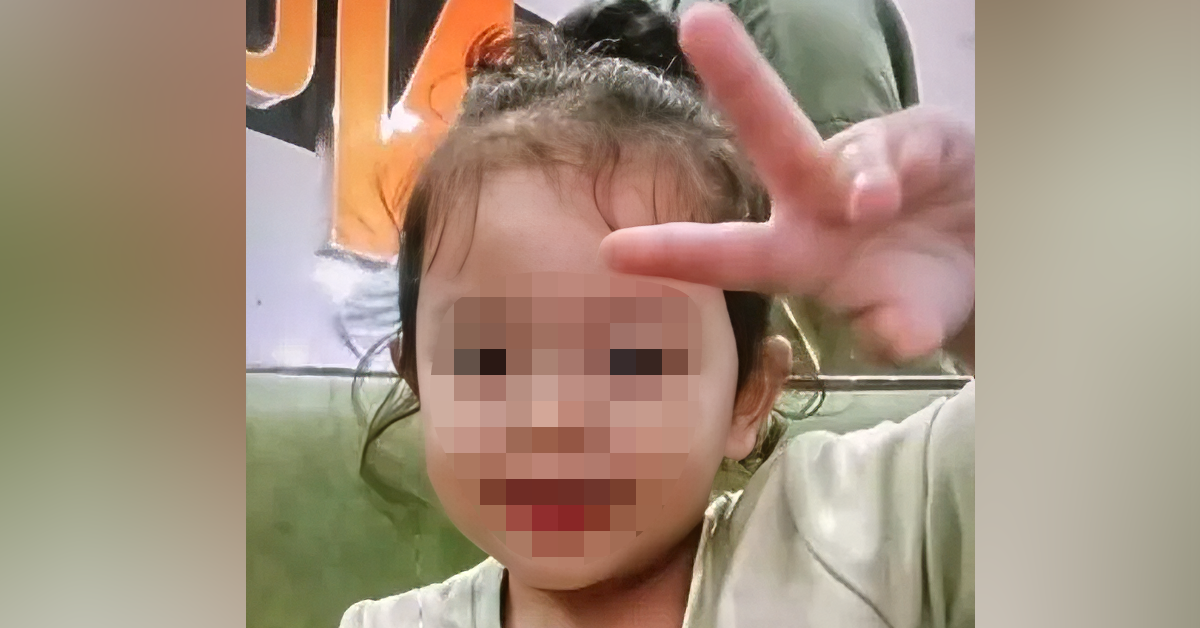 Keluarga Haira nafi pemilikan anjing yang menyerang mangsa