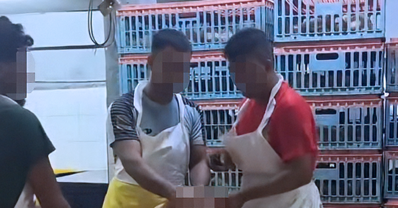 Video tular pemprosesan ayam di sebuah premis Kuala Lumpur yang mendapat perhatian Datuk Dr Radzi Jidin.