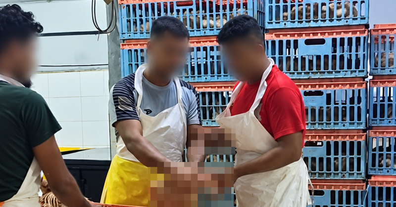 Kenyataan media JAKIM mengenai status premis penyembelihan ayam tular yang bukan milik Bhuiyen Sdn. Bhd.